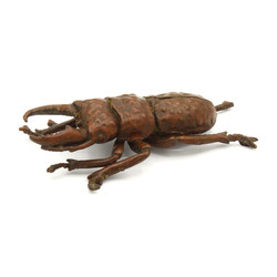 Japanese copper-bronze tenpai 104 beetle