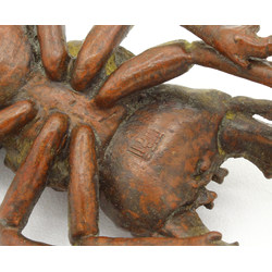 Japanese copper-bronze tenpai 104 beetle view 4