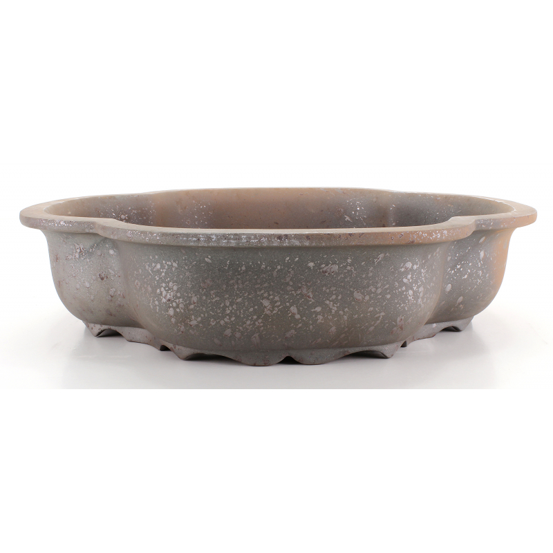 Bonsai pot CCH403 SHIWAN XENJI