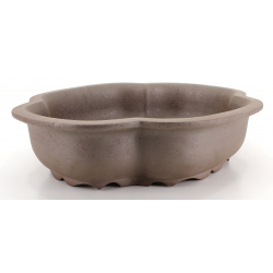 Bonsai pot CCH403 SHIWAN XENJI shade 2 view 2