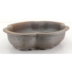 Bonsai pot CCH403 SHIWAN XENJI view 2