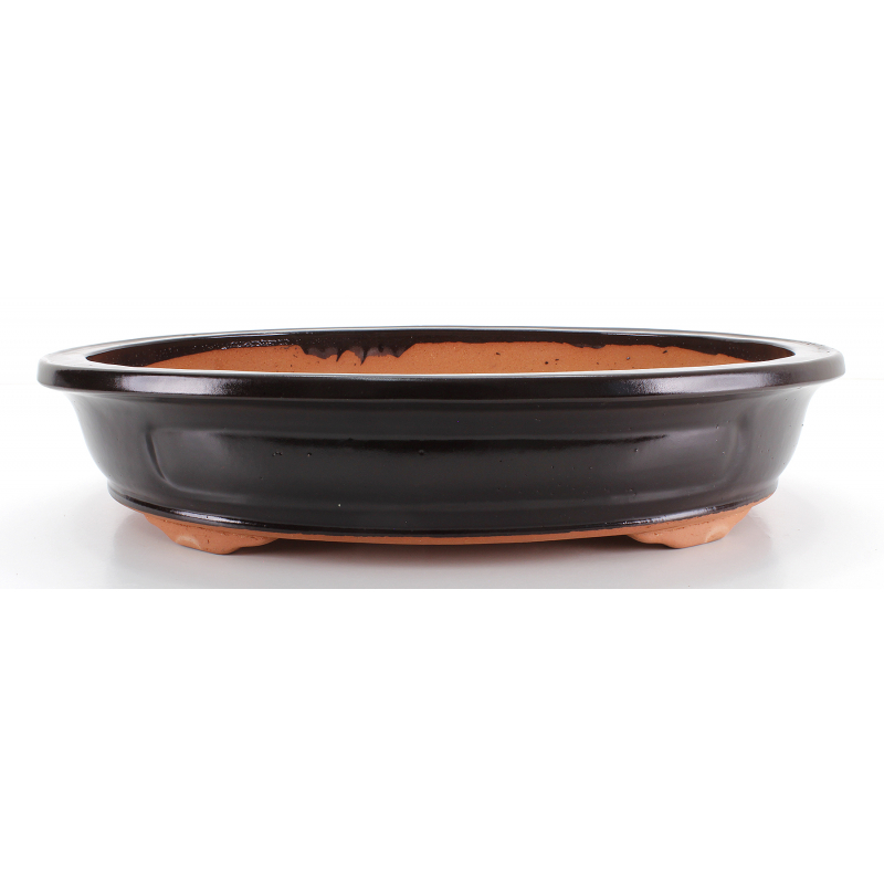 Bonsai pot CCH374B