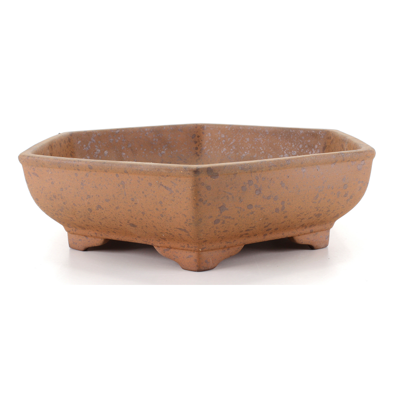 Bonsai pot CCH429 SHIWAN XENJI