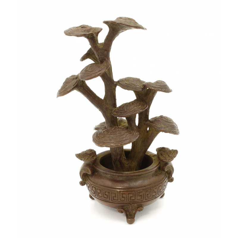 Japanese copper-bronze tenpai 110 shitake mushroom