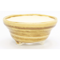 Bonsai pot JTAP1621 AKIYAMA view 2