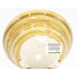 Maceta bonsái JTAP1621 AKIYAMA vista 3