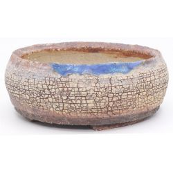 Bonsai pot NAU374 CARPINUS VIEW 1