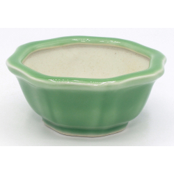 Bonsai pot CCH519 view 2