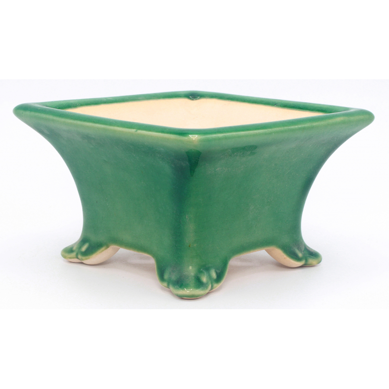 Bonsai pot CCH515 view 1