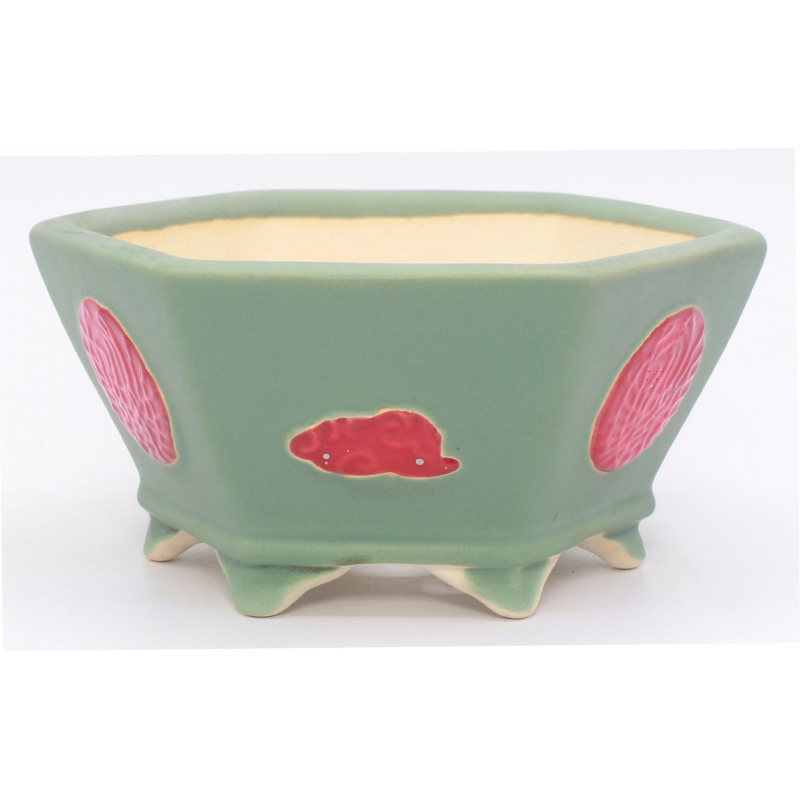 Bonsai pot, bonsai, China, LaosGarden, porcelain, Horie Biko, Tokoname