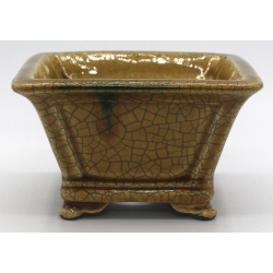 Bonsai pot TER505 TERAHATA SATOMI view 2