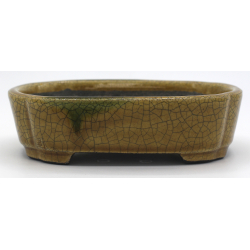 Bonsai pot TER506 TERAHATA SATOMI view 1