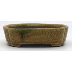 Bonsai pot TER507 TERAHATA SATOMI view 1