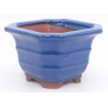 Bonsai pot, bonsai, China, LaosGarden
