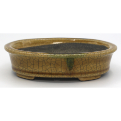 Bonsai pot TER519 TERAHATA SATOMI view 1