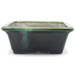 Bonsai pot TER520 TERAHATA SATOMI view 1