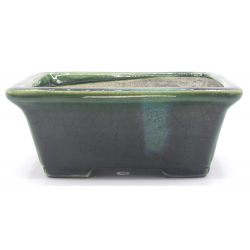 Bonsai pot TER520 TERAHATA SATOMI view 3