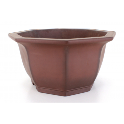 Bonsai pot JTA7952 YAMAAKI TOSHIO