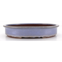 Bonsai pot JTA7956 YAMAAKI TOSHIO