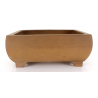 Bonsai pot JTA7953 IZUMI-YA ZENIGO