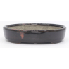 Bonsai pot TER536 TERAHATA SATOMI