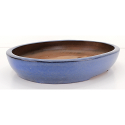 Bonsai pot CCH357 BOKUKAKAI view 2