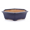 Bonsai pot JTA7964 YAMAFUSA TAKEHIKO