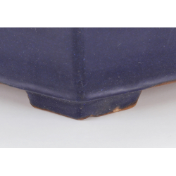 Bonsai pot JTA7964 YAMAFUSA TAKEHIKO view 5