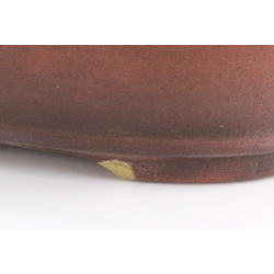 Bonsai pot JTA7965 SEIBUN view 4