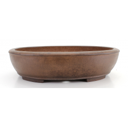 Bonsai pot JTA7971 SHOUZAN KANESHOU MASAMI