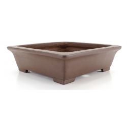 Bonsai pot JTA7987 GYOZAN YUKIZOU