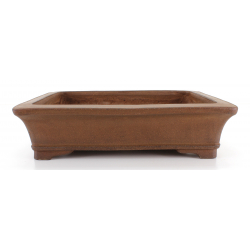 Bonsai pot JTA7988 SYUZAN