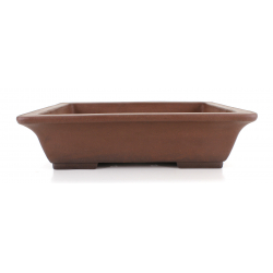 Bonsai pot JTA7983 SHOUZAN KANESHOU MASAMI