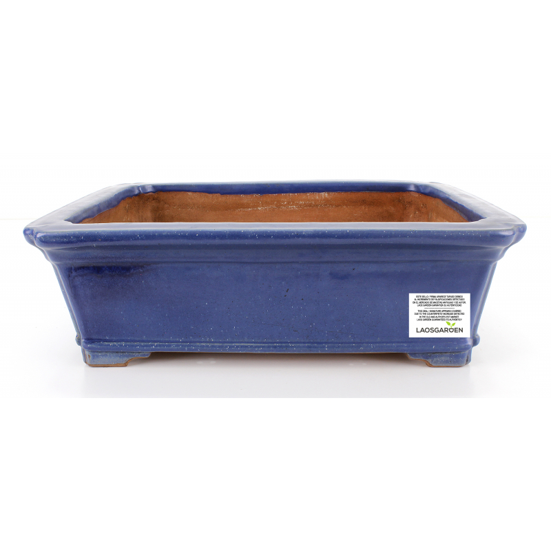 Bonsai pot JTA7982 GYOZAN YUKIZOU