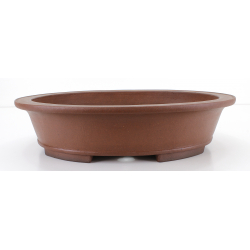 Bonsai pot JTA7980 SHOUZAN KANESHOU MASAMI