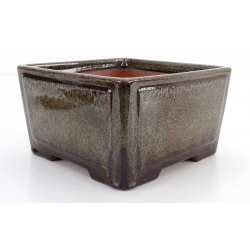 Bonsai pot CCH454 SHIWAN XENJI