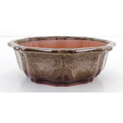 Bonsai pot CCH449 SHIWAN XENJI