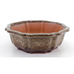 Bonsai pot CCH449 SHIWAN XENJI view 2