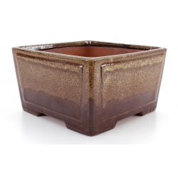 Bonsai pot CCH452 SHIWAN XENJI