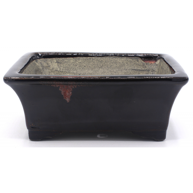 Bonsai pot TER550 TERAHATA SATOMI VIEW 1