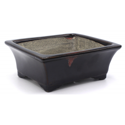 Bonsai pot TER550 TERAHATA SATOMI VIEW 2