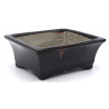 Bonsai pot TER550 TERAHATA SATOMI VIEW 2