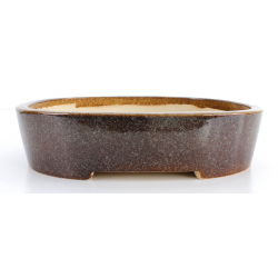 Bonsai pot JTA8017 KOYO KOUICHIROU