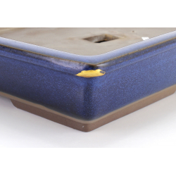 Bonsai pot JTA8007 SEIHO view 3