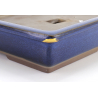 Bonsai pot JTA8007 SEIHO view 3
