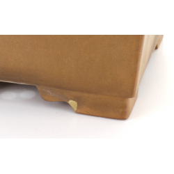 Bonsai pot JTA7999 IZUMI-YA SHOUKOU view 3