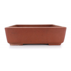 Bonsai pot JTA7805 SEIBUN