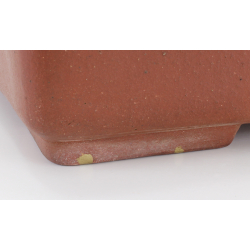 Bonsai pot JTA7805 SEIBUN view 7