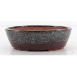 Bonsai pot CCH481 SHIWAN XENJI