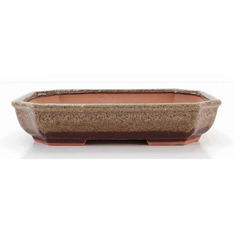 Bonsai pot CCH480 SHIWAN XENJI